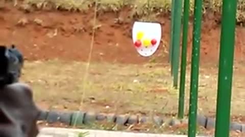 Acerta o balão vermelho sem furar o amarelo.