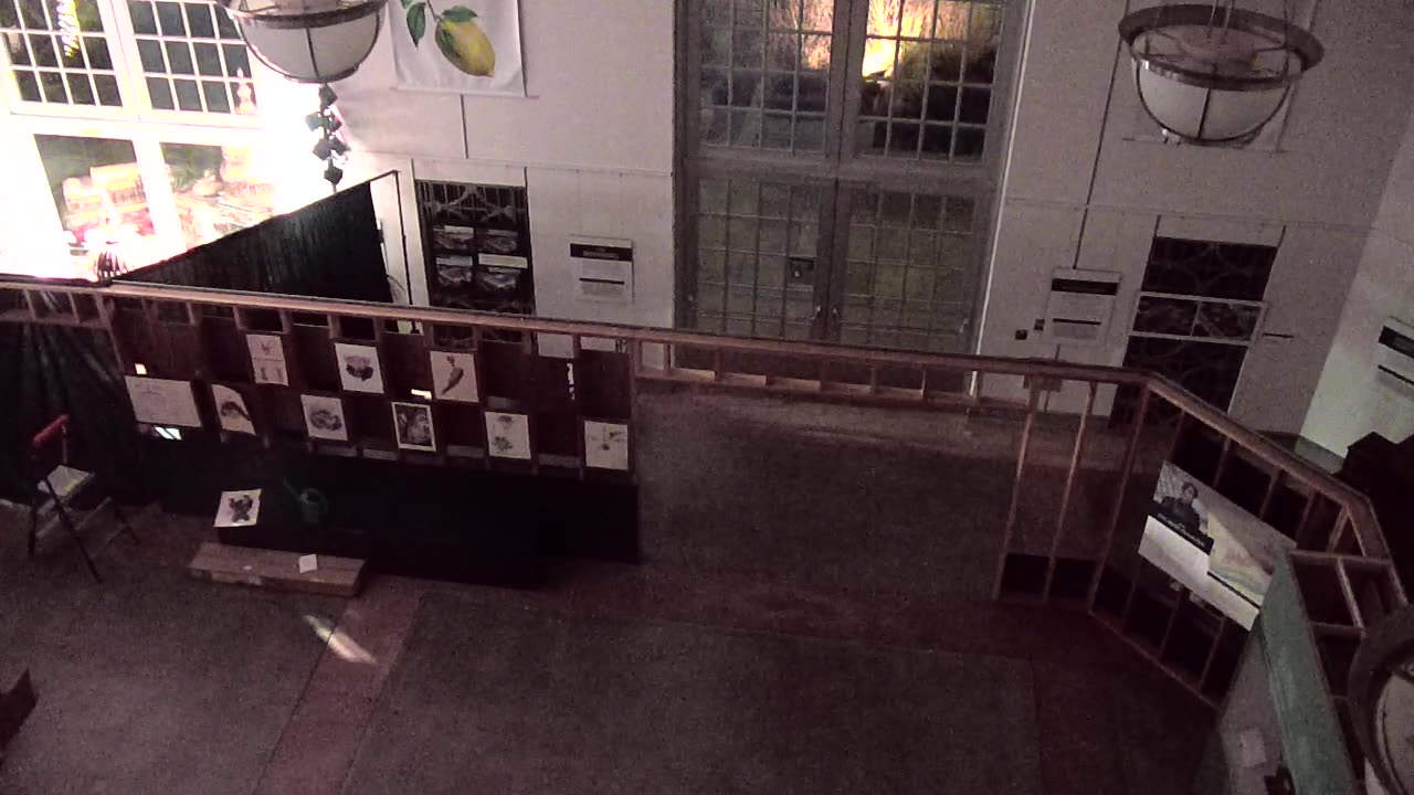 4011BGCO01EastHall_2021-01-06_19h20min01s017ms.mp4