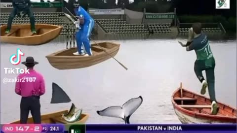 Pakistan vs India cricket match #