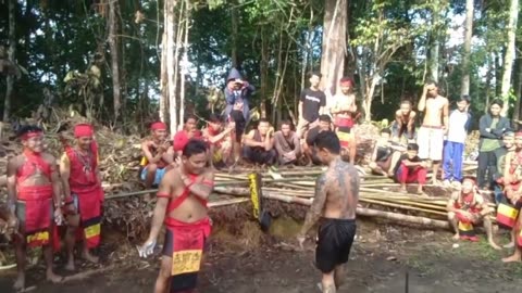The Magic of Panglima Bird Jilah: The Dayak Tribe Inspires in a 3-1 Winning Match