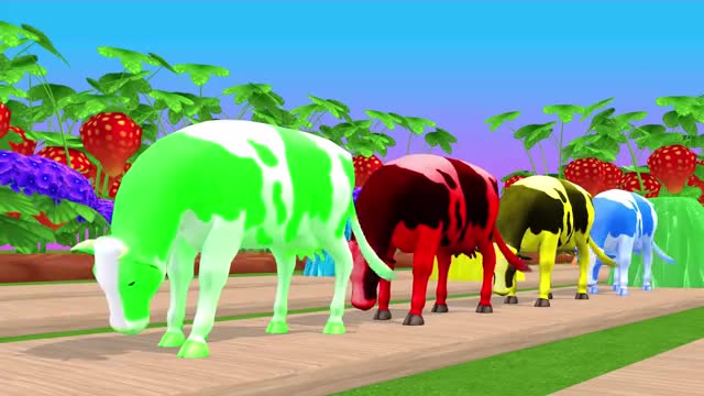 n vs dogs vs cats vs elephants and cows_Cut