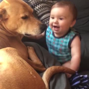 Bebé no puede dejar de reírse con su perro