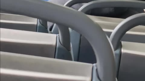 Same fucking Organized Stalking Perps