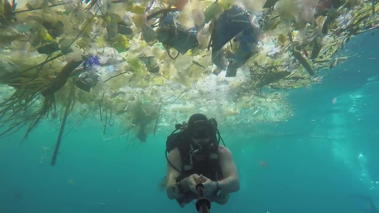 The ocean currents brought us in a lovely gift today...