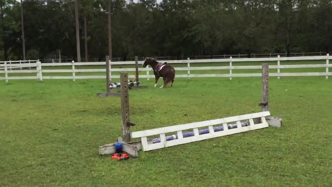 People Who Tried, but FAILED! Funniest Fails _ AFV