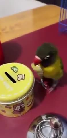 Leave Home, Do Your Job, Then Head Back Home! 😊