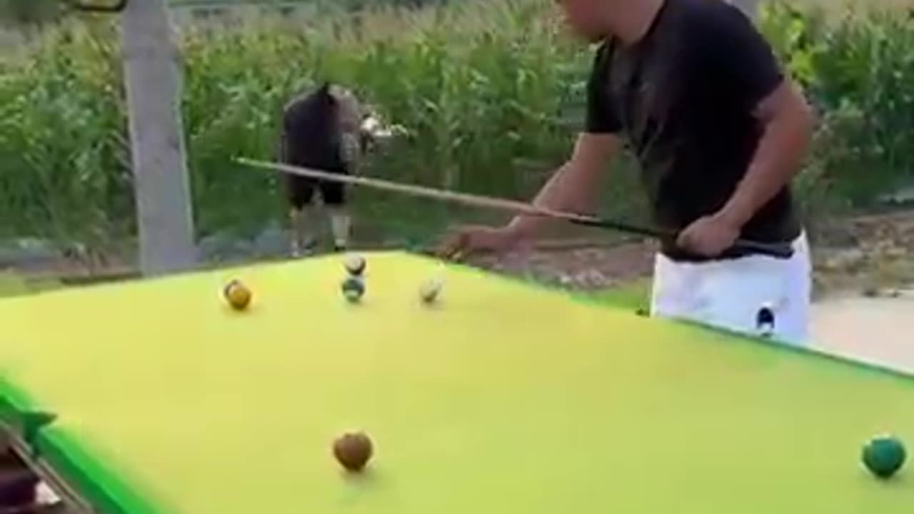 https://youtu.be/k4np0wMgt4g?si=RwX3i4QgT990jTCD