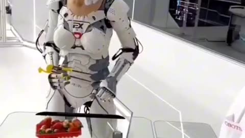 ROBOTS IS THIS THE FUTURE WE ALL WANT?