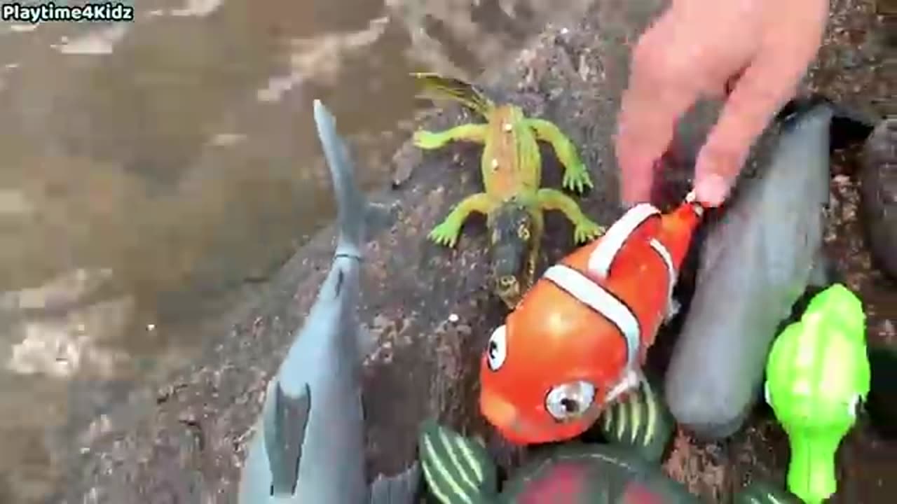 Sea Animal Toys