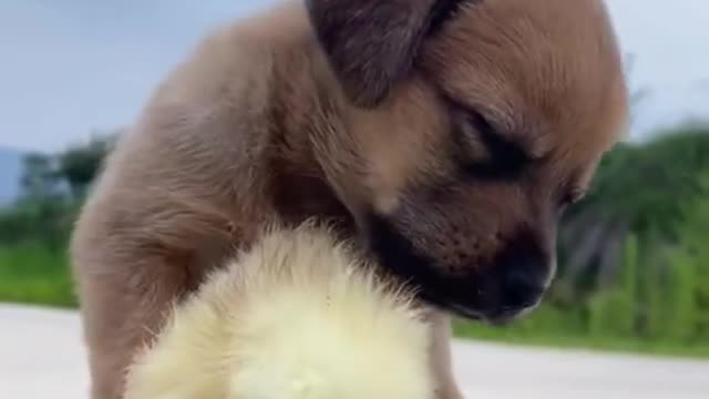 Put a ❤️ if you think cute🥰