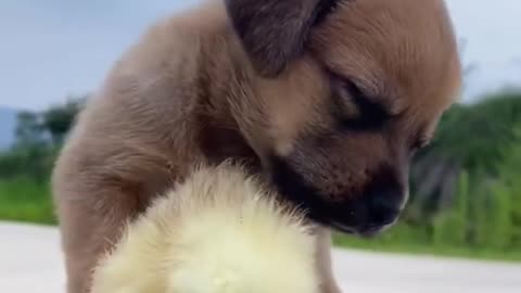 Put a ❤️ if you think cute🥰