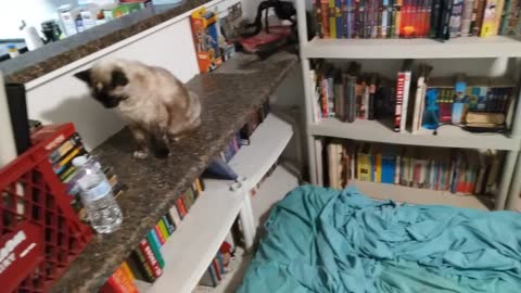 Final Night and Day With Shanti, Echo, and Emma Part 4