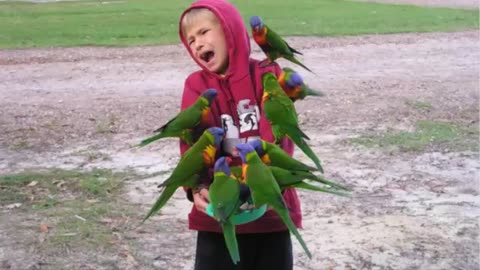 Funny Kids Babies and Parrots 2019