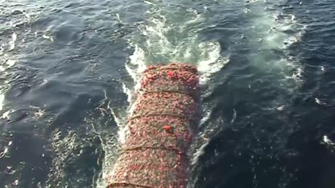 One Of The Largest Marine Fishing Boats