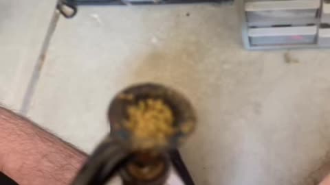 Day 67 pt2 My house is at 70