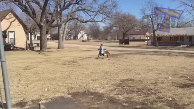 Funny Videos Compilation