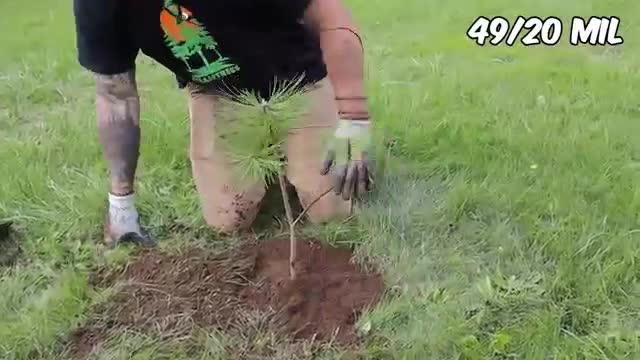 Planting 20,000,000 Trees, My Biggest Project Ever!
