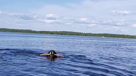 Beautiful Swimmer