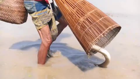 bangladeshi fisherman caught a snake