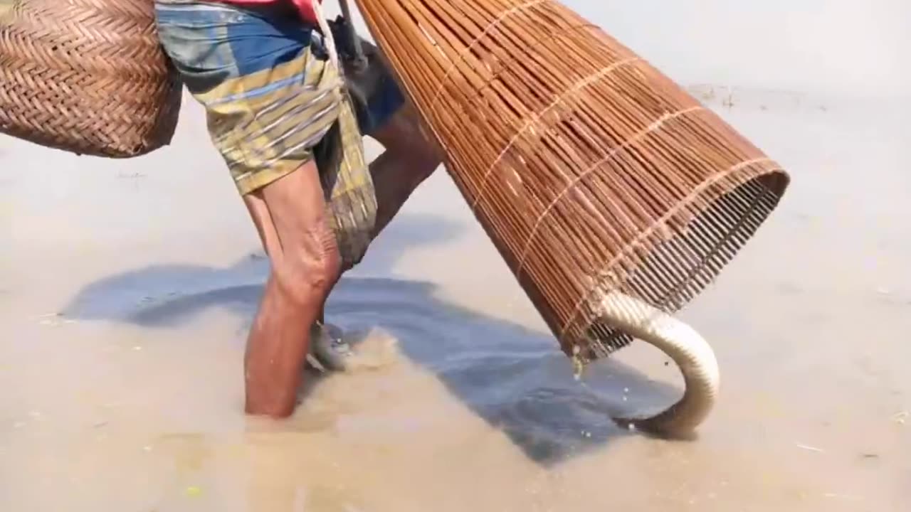 bangladeshi fisherman caught a snake