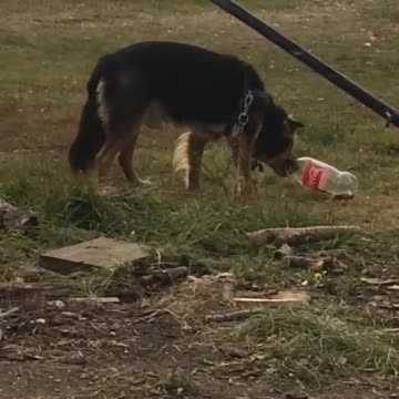 miko drinking from pop bottle