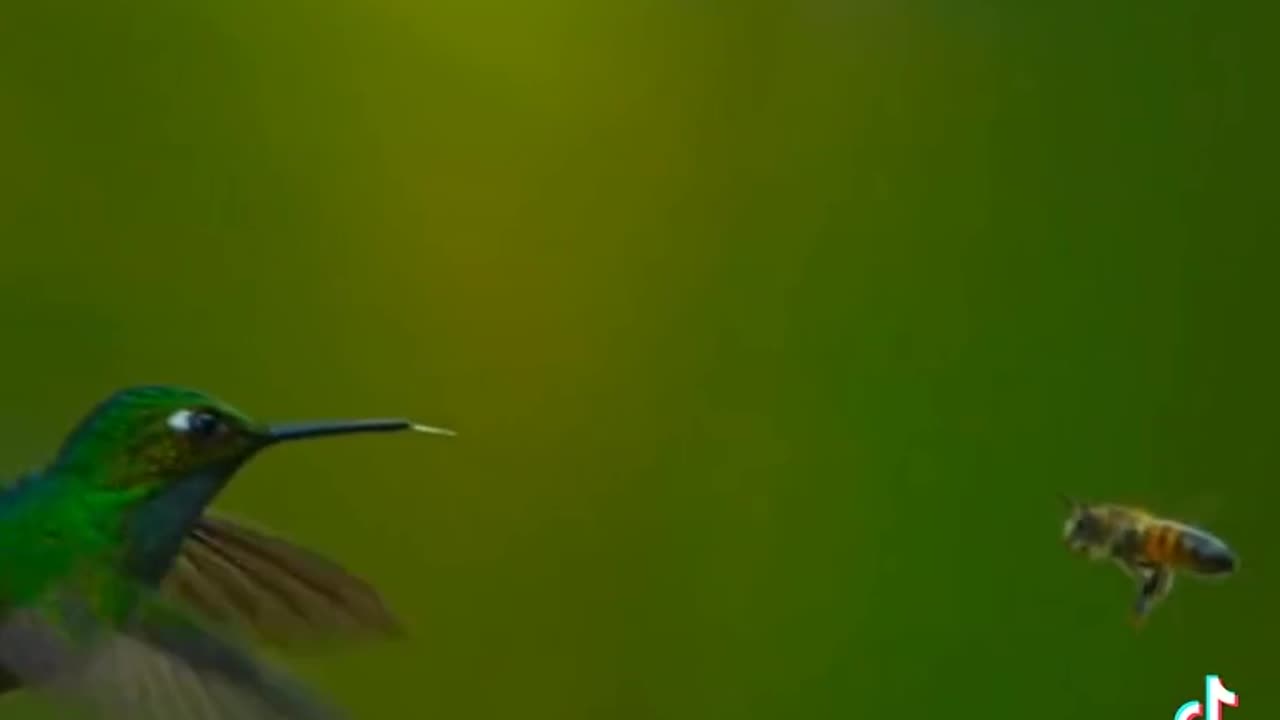 Nature off world