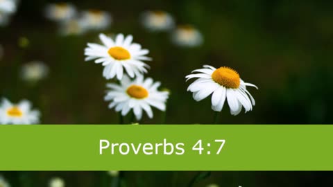 1 Minute -- Proverbs 4 Devotional -- March 4, 2023