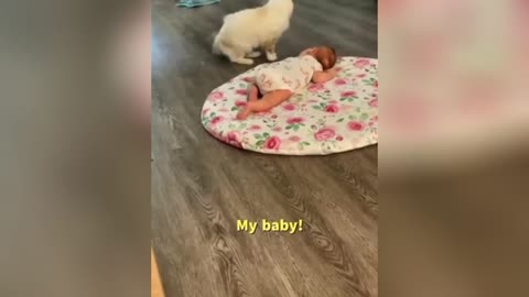 IM SUPRISED!! | Cats and dogs caring and loving babies