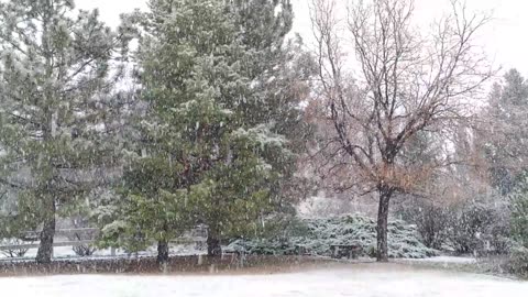 Climate Change in Colorado