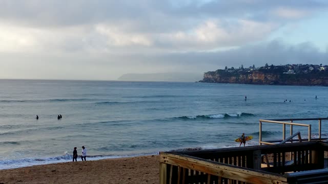 Eastern Whip Birds @ Dee Why Beach, Sydney