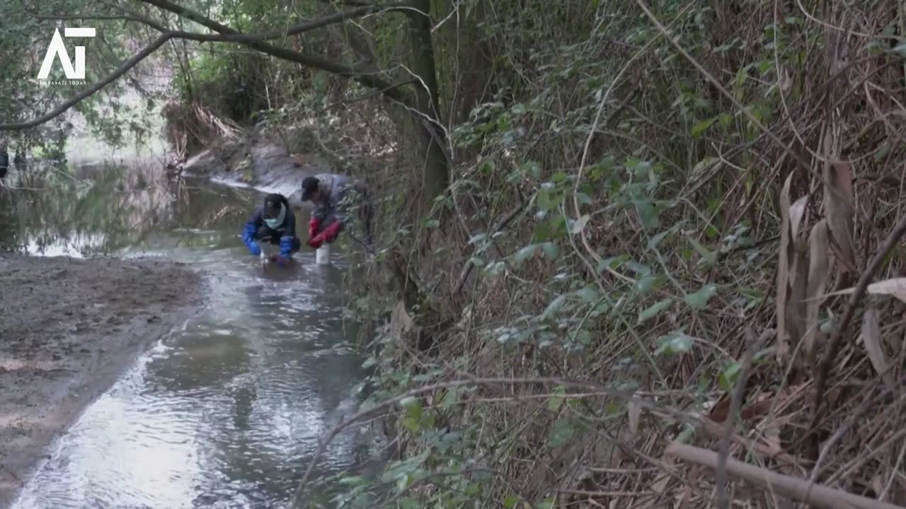 Chilean Ecogroup Transforms Hair Waste into Waterway Cleaners | Amaravati Today