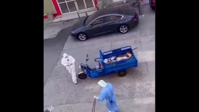 CCP 🇨🇳 exterminating cats & dogs 😱😡