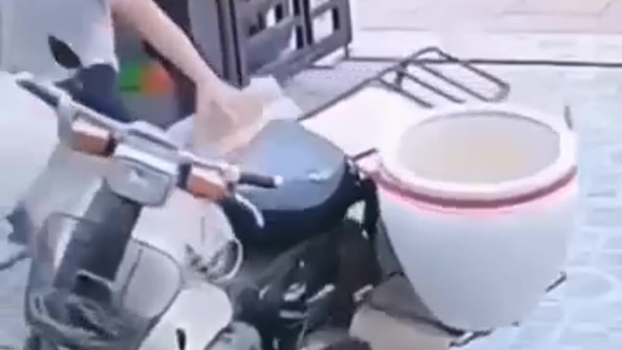Funny videos 📹 🤣 😂 😄 😆