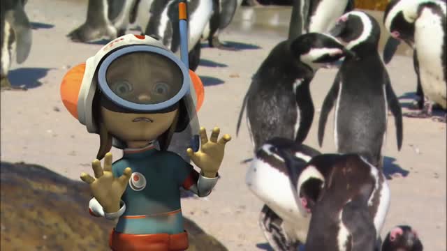 PENGUINS * | Animals For Kids | All Things Animal TV