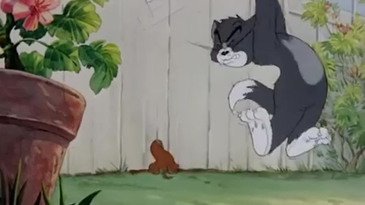 Tom and Jery Classic