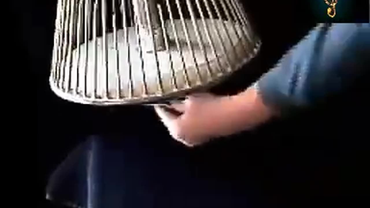 Satisfying videos