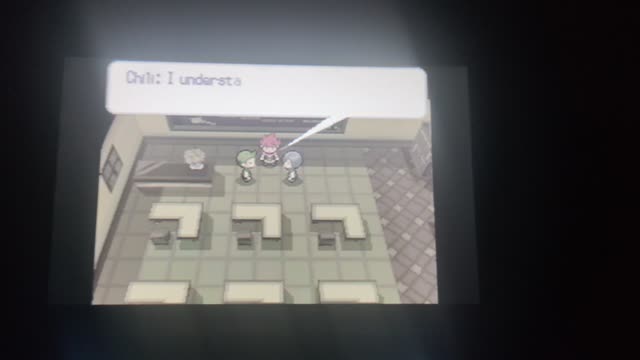 Pokemon White2:Hidden Memories the Final Chapter