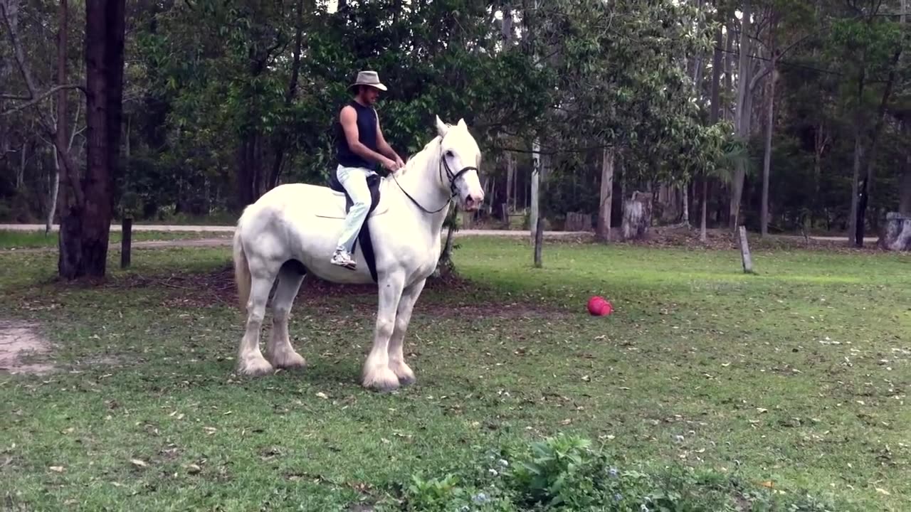 Man Gets Kicked Off Horse