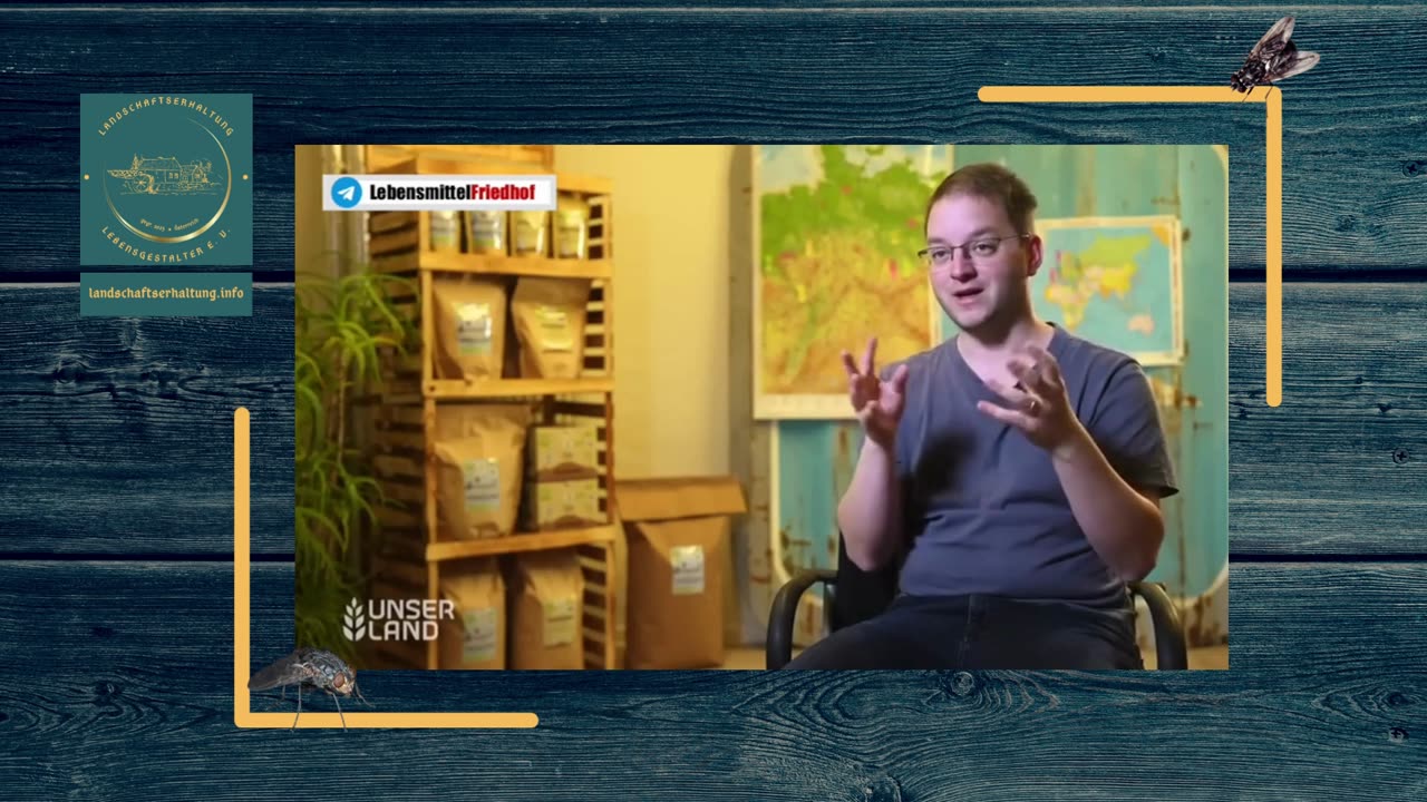 Soldatenfliege als Insektenprotein im Futtertrog!