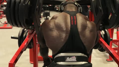 EpicBackWorkout101