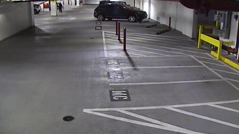 6120RHOBG2G204ALobby4Entrance_2021-01-05_20h20min03s243ms.mp4