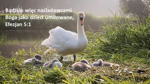 Sposób życia uczniów Chrystusa