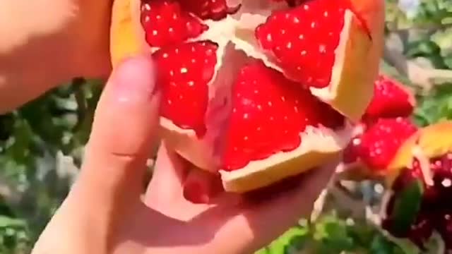 BEST REVERSE VIDEO