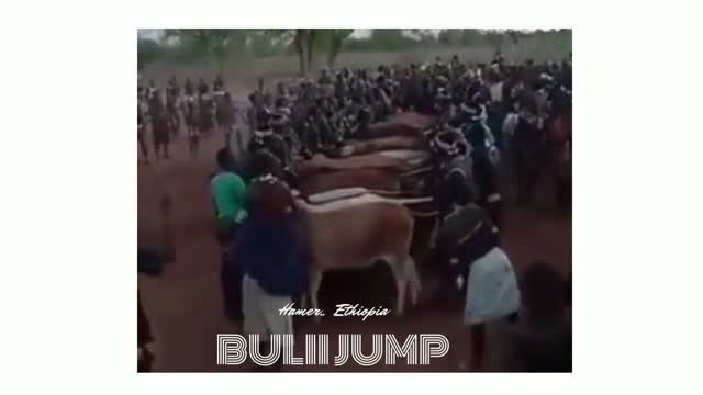 Bull Jump