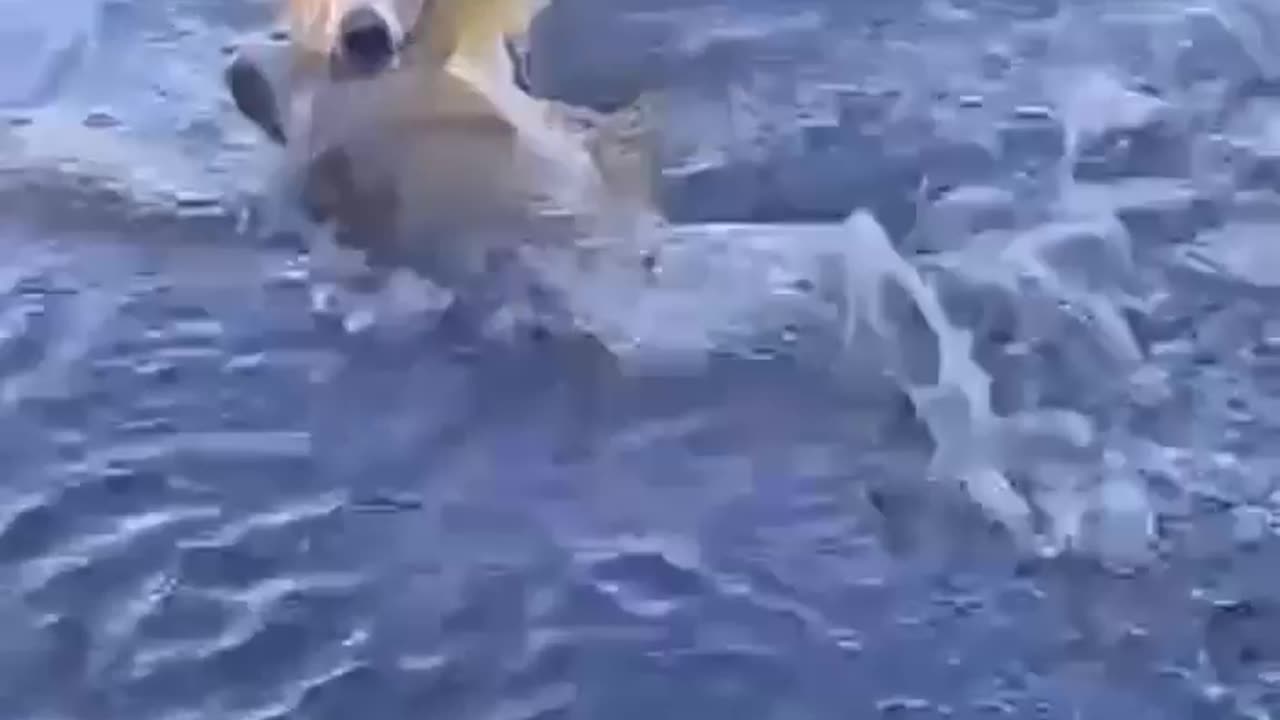 Fishing 🎣 big fish.
