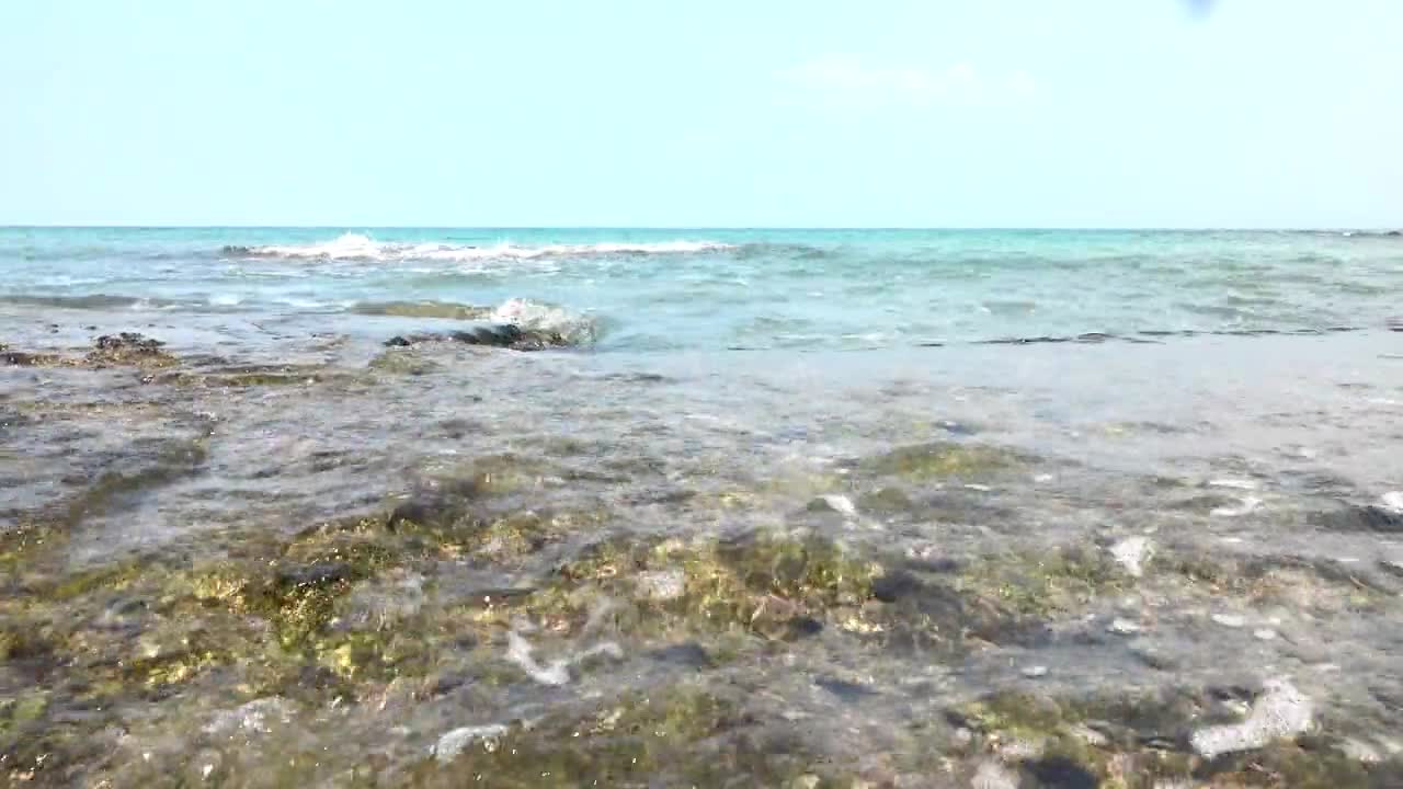 Close-Up View of Sea Waves on Beach Shore