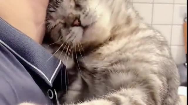 Lovesstickingtomydog.