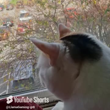 SURVEYING HER KINGDOM