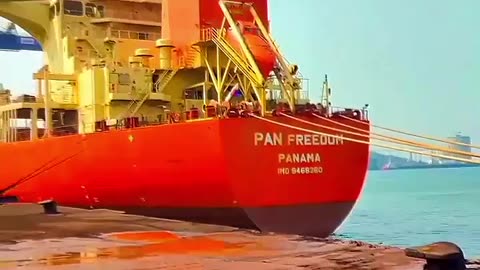 merchant navy life
