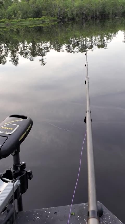 How's Your Luck #Fishing? #shorts #fishingtrip